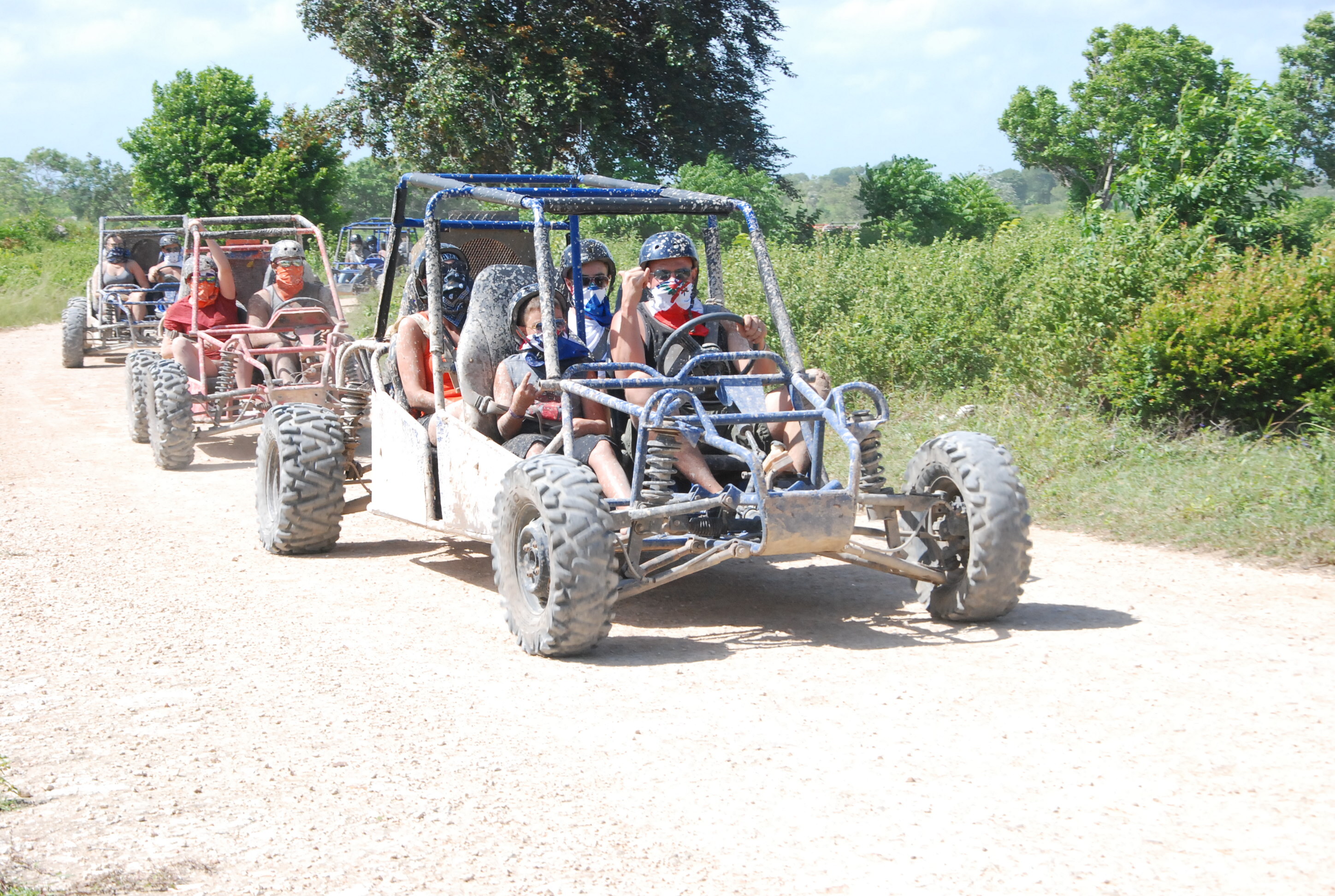 Wild Buggy Tour